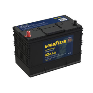  0005 gy271100 2